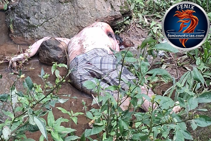 Encuentran sin vida a Juan Pablo Agustín Reyes tras operativo de búsqueda en Santa María Xalapán